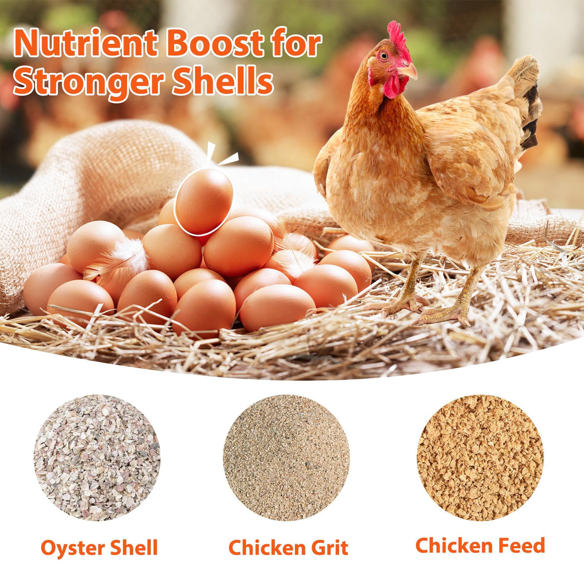 ANGAR grit feeder metal construction designed for durability in outdoor coops.