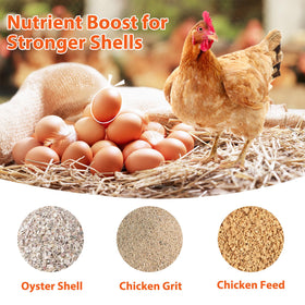 ANGAR grit feeder metal construction designed for durability in outdoor coops.