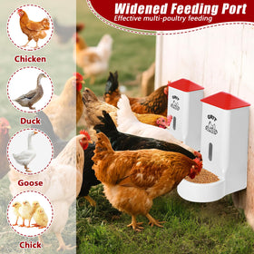 ANGAR 5lb capacity feeder supporting six chickens for two weeks