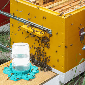 ANGAR outdoor beekeeping accessory streamlines water management.