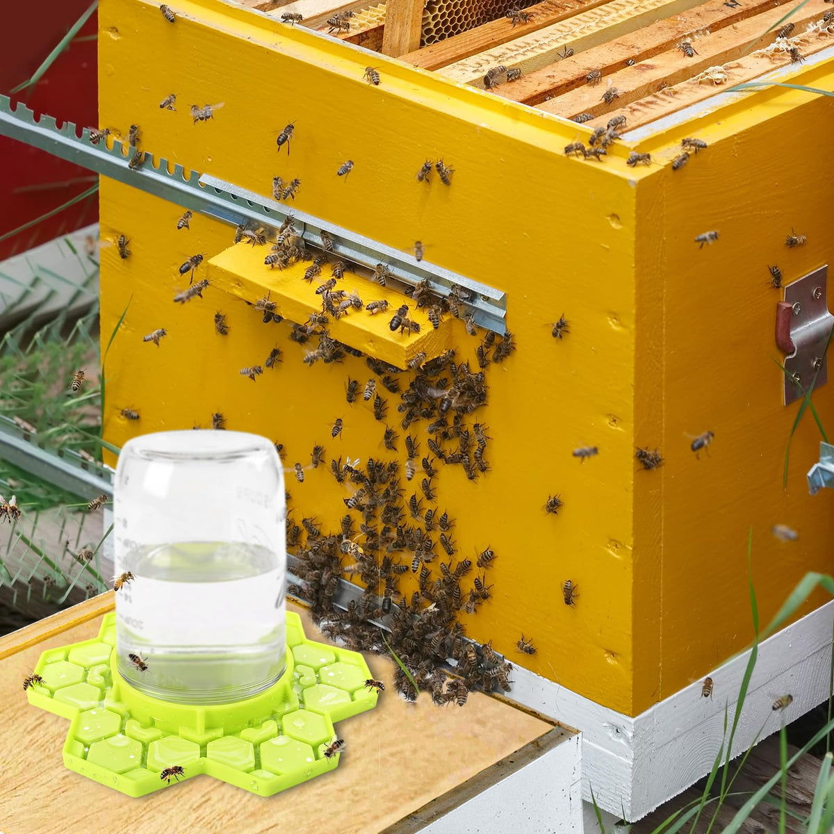 ANGAR beekeeping accessory reduces water changes and simplifies maintenance.