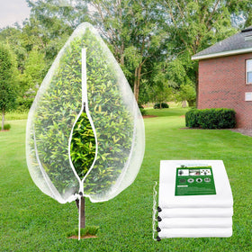 ANGAR fruit tree netting cover protecting a plant while allowing airflow