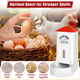 ANGAR grit and shell feeder designed for multiple birds and uses