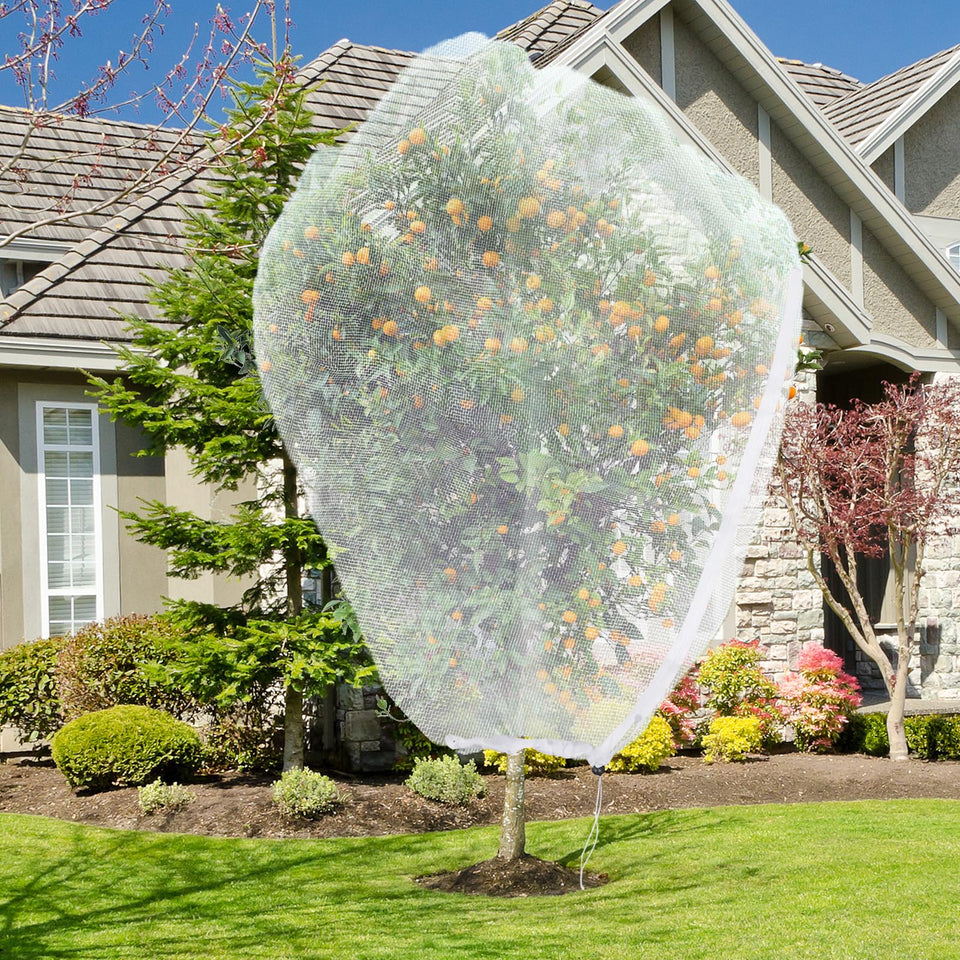 ANGAR large fruit tree netting 10x10ft on a tree protects fruit from pests and birds.
