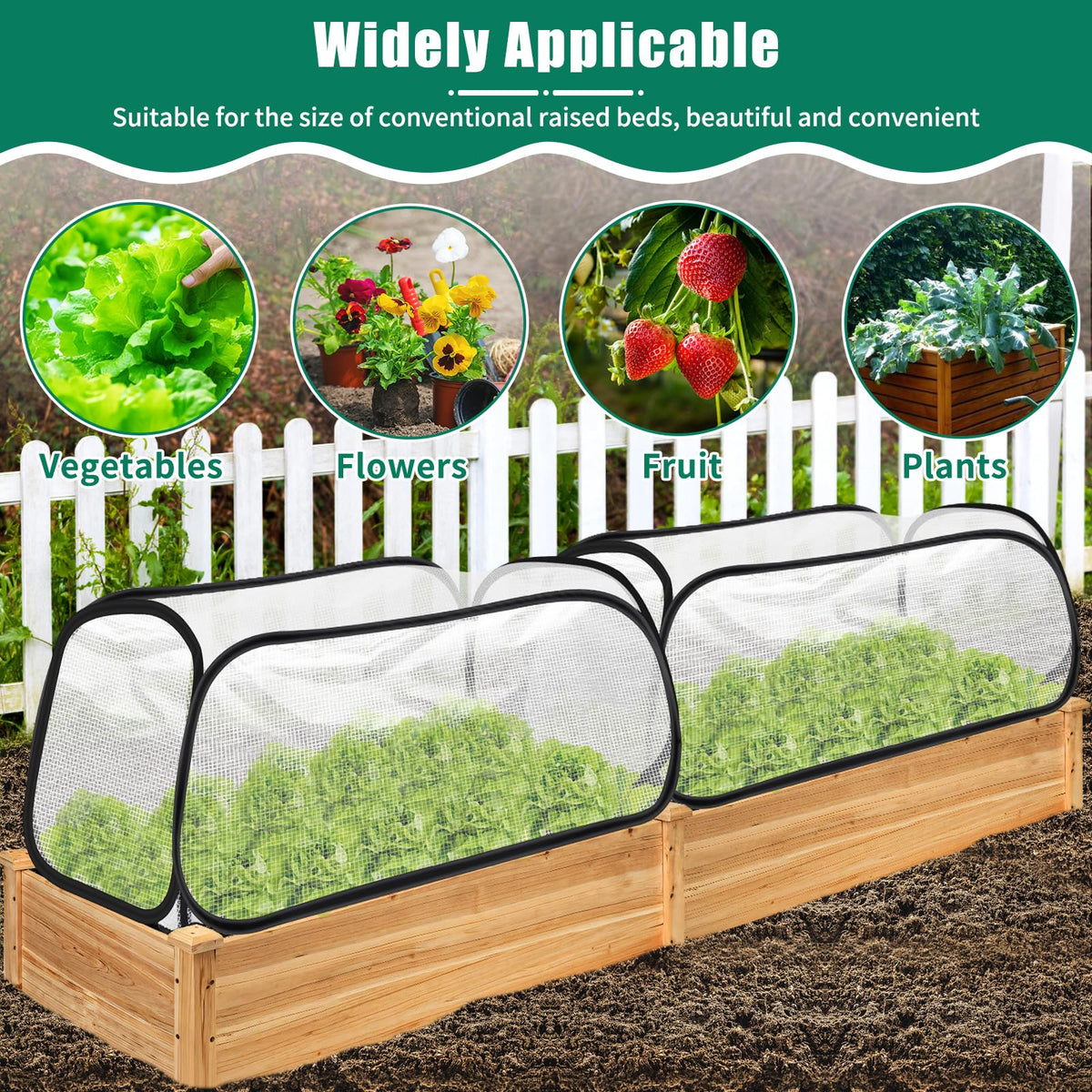 ANGAR transparent material helps monitoring growth without removing cover.