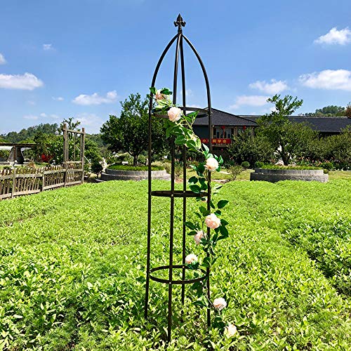 AngJi iron garden trellis provides sturdy support for vines and roses.