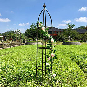 AngJi iron garden trellis provides sturdy support for vines and roses.
