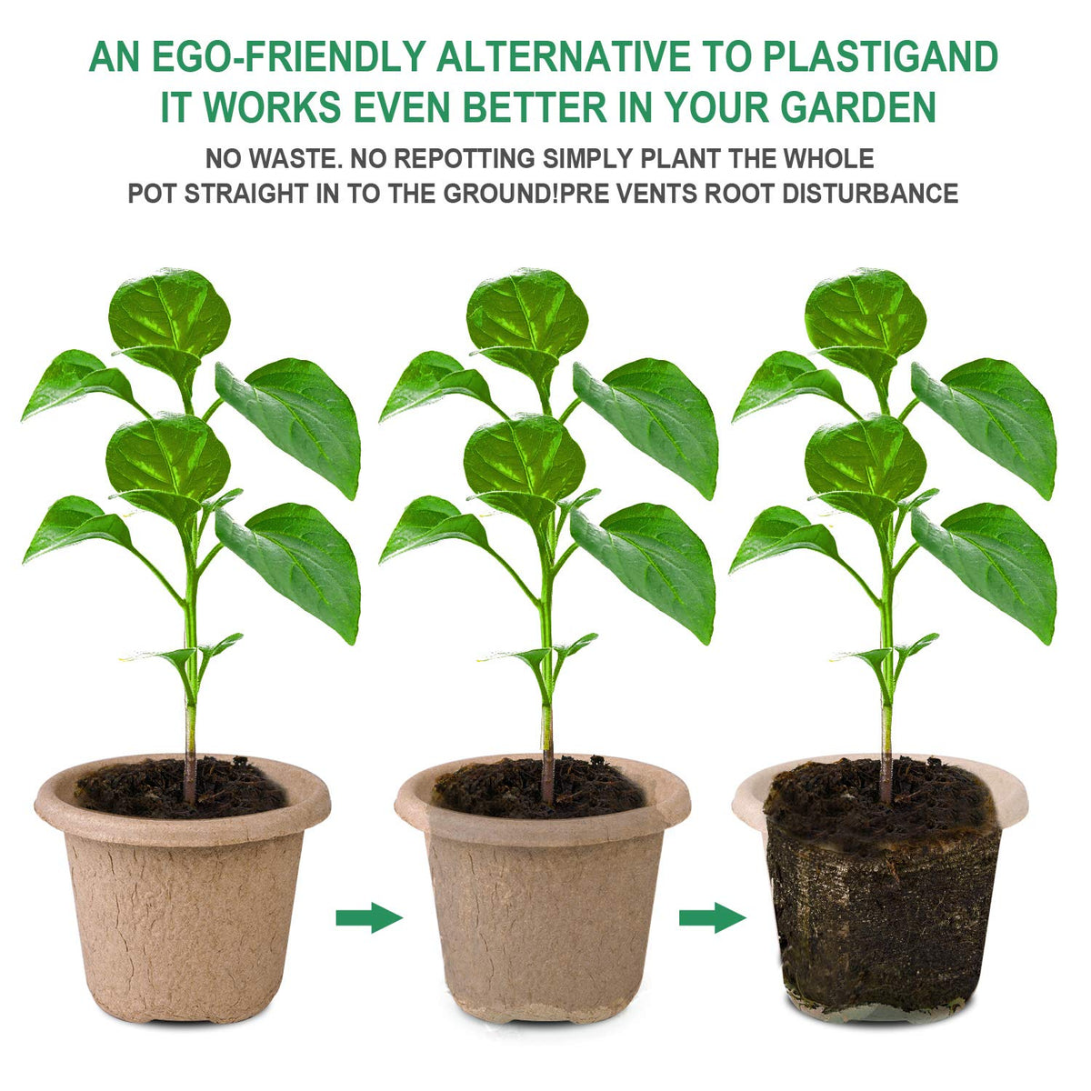 ANGTUO seedling pots showing drainage holes for healthy roots.