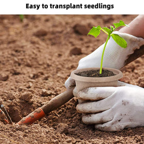 ANGTUO plant labels in use for garden organization.