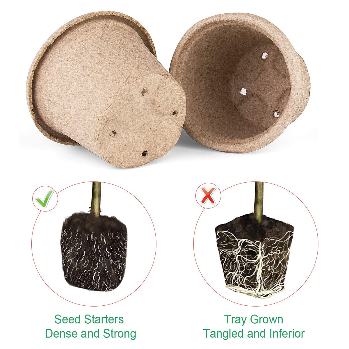 ANGTUO seed starter tray with labels for organized planting.