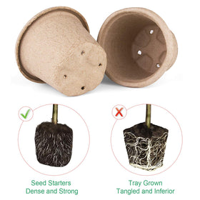 ANGTUO seed starter tray with labels for organized planting.