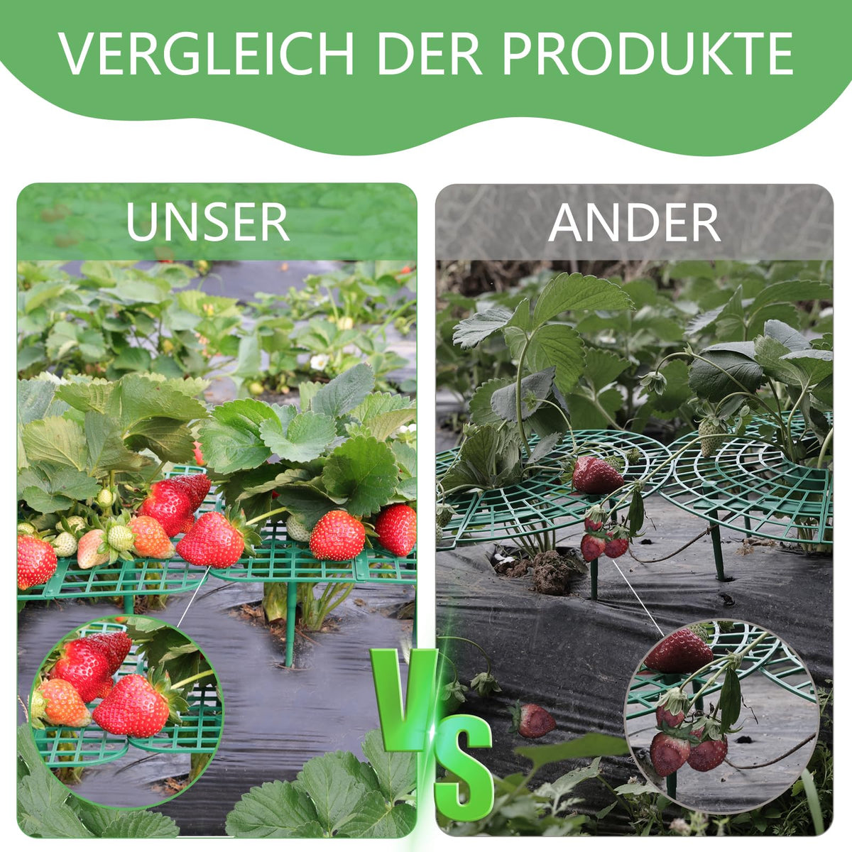 ANGTUO elevated fruit display demonstrating improved air circulation around berries
