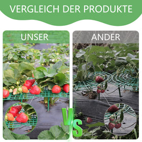 ANGTUO elevated fruit display demonstrating improved air circulation around berries