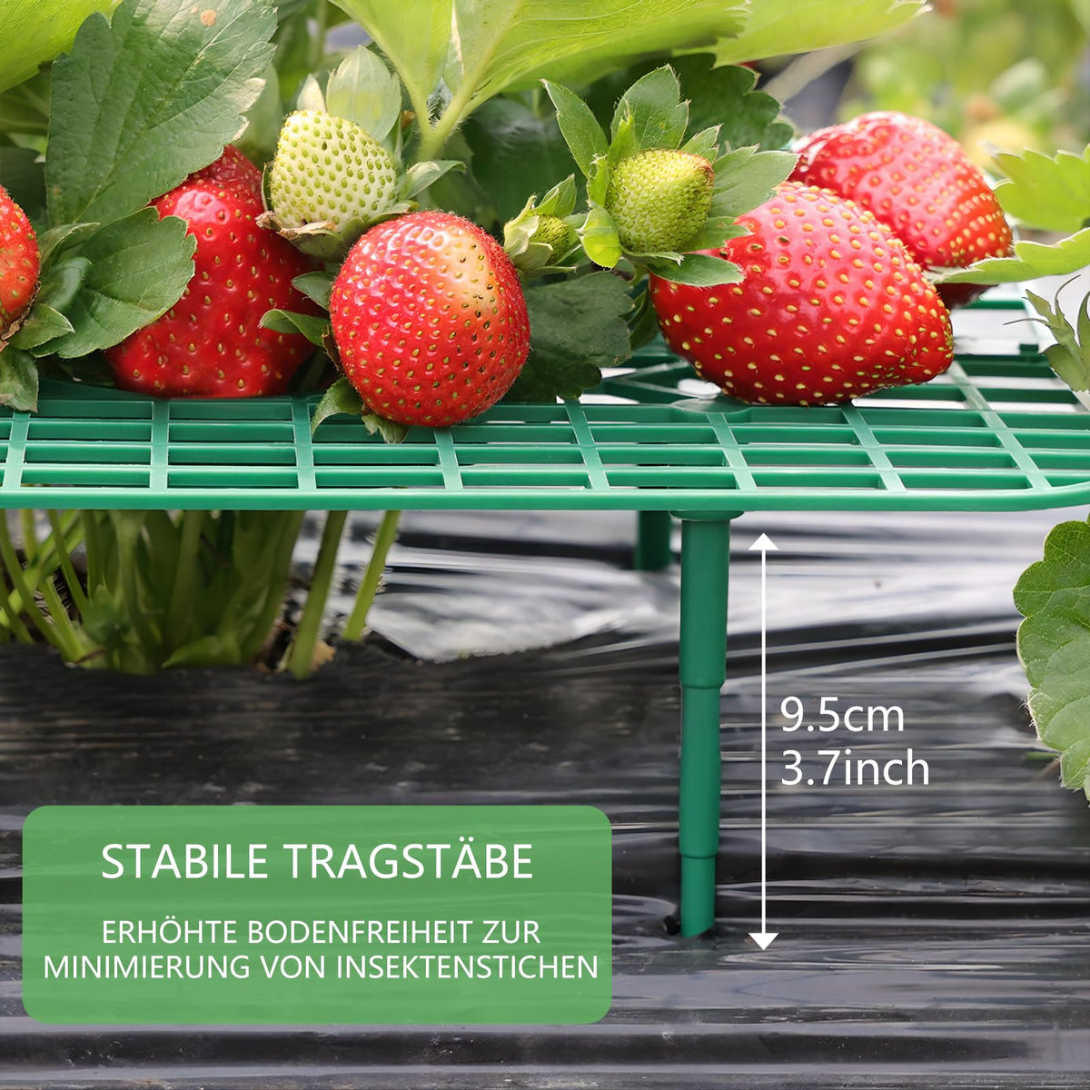 ANGTUO stand with stakes and legs illustrating easy installation into soil