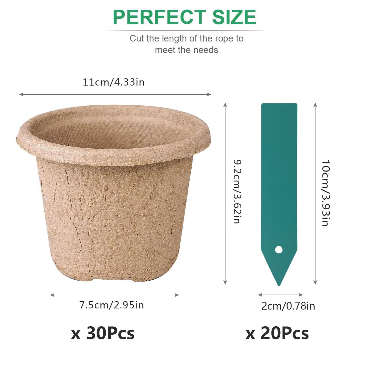 ANGTUO biodegradable pots preserving root ball during transplant.