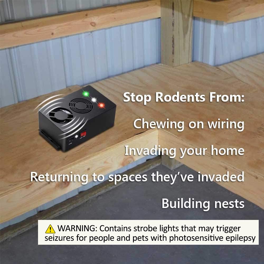 Angveirt attic and storage use demonstrating placement