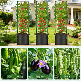 Anlass complete growing kit with cages, bags, ties