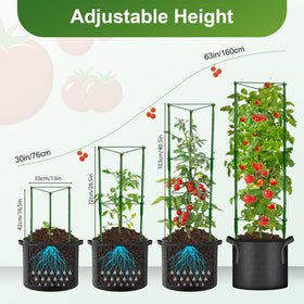 Anlass height-adjustable tomato trellis grows with plants