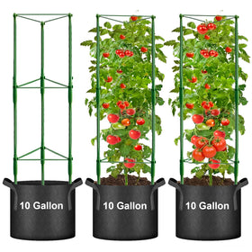 Anlass tomato cage 3-pack assembly supports garden plants