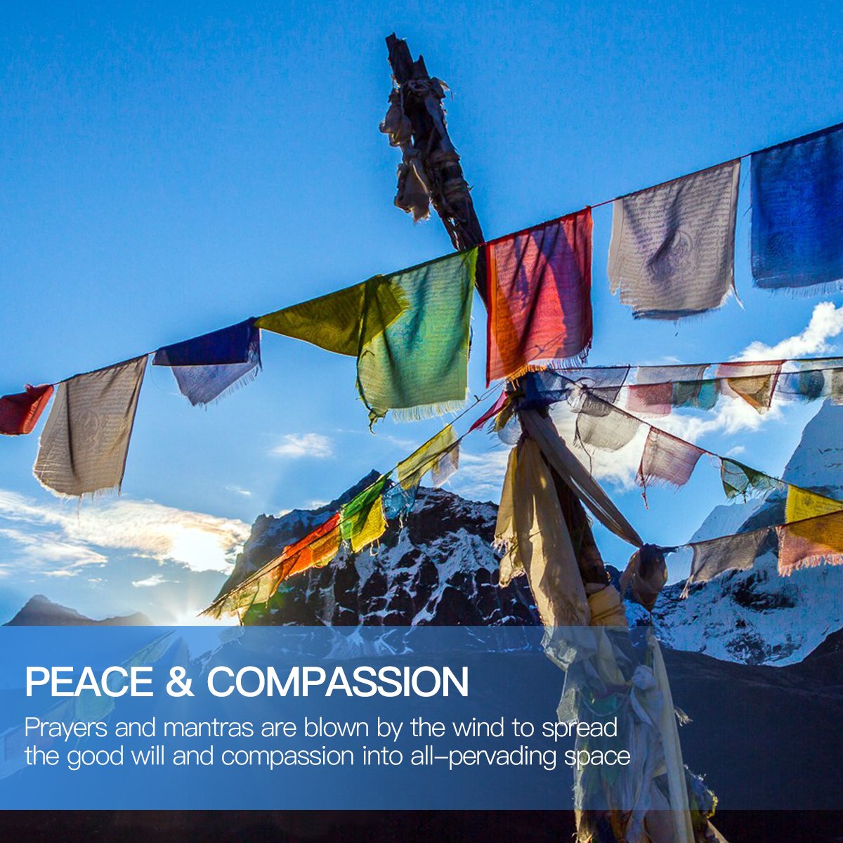 Anley Tibet Flag measures 10 by 10 inches per panel for versatile display.