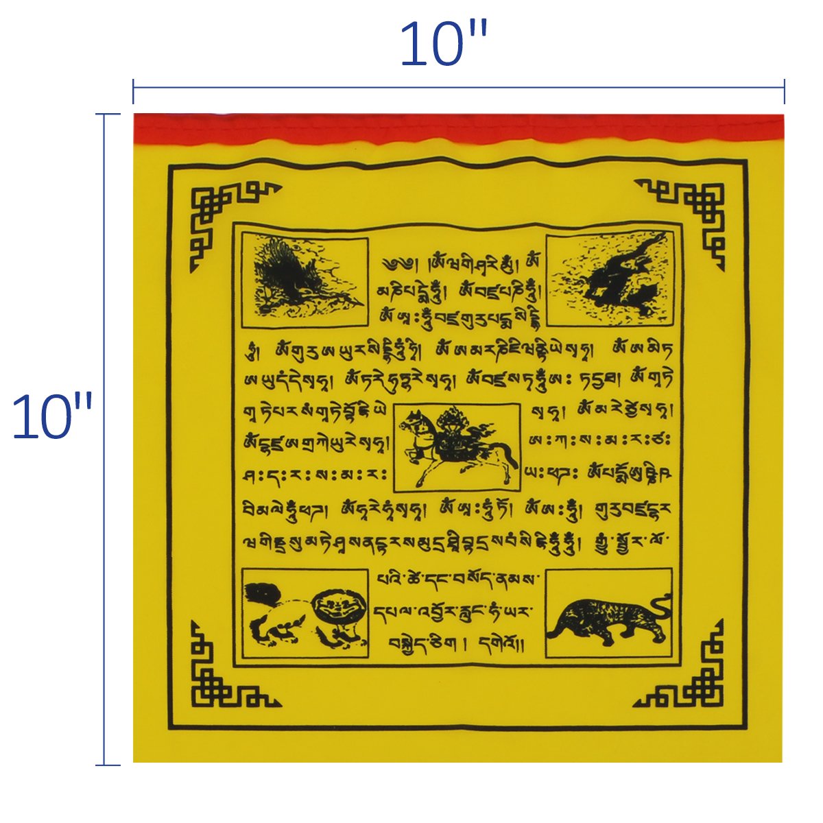An outdoor display of Anley Tibet Prayer Flags captures movement and vibrant hues.