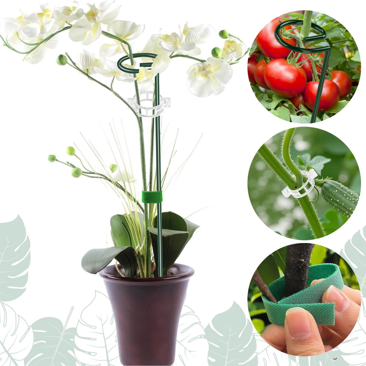 ANLLECR indoor-outdoor garden stake suitable for tomatoes, vegetables, and flowering plants.