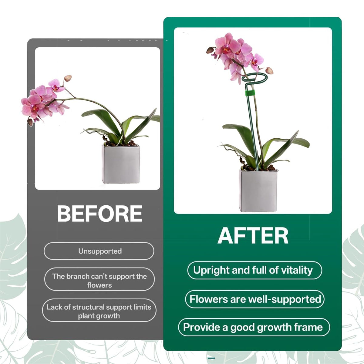 ANLLECR single-stem plant supports keep stems straight with an elegant appearance.