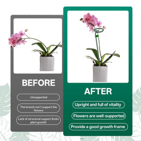 ANLLECR single-stem plant supports keep stems straight with an elegant appearance.