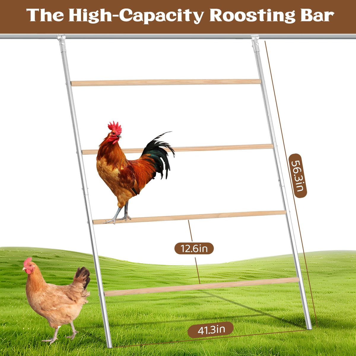 ANNDING chicken roosting bars show a durable metal frame built for outdoor coops.