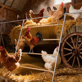 ANNDING durable galvanized steel perch withstands weather and heavy daily use in the coop.