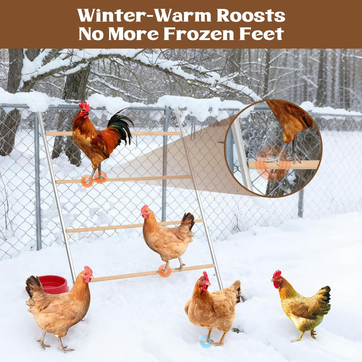 ANNDING easy-clean roosting bar surfaces can be wiped down quickly for hygiene.