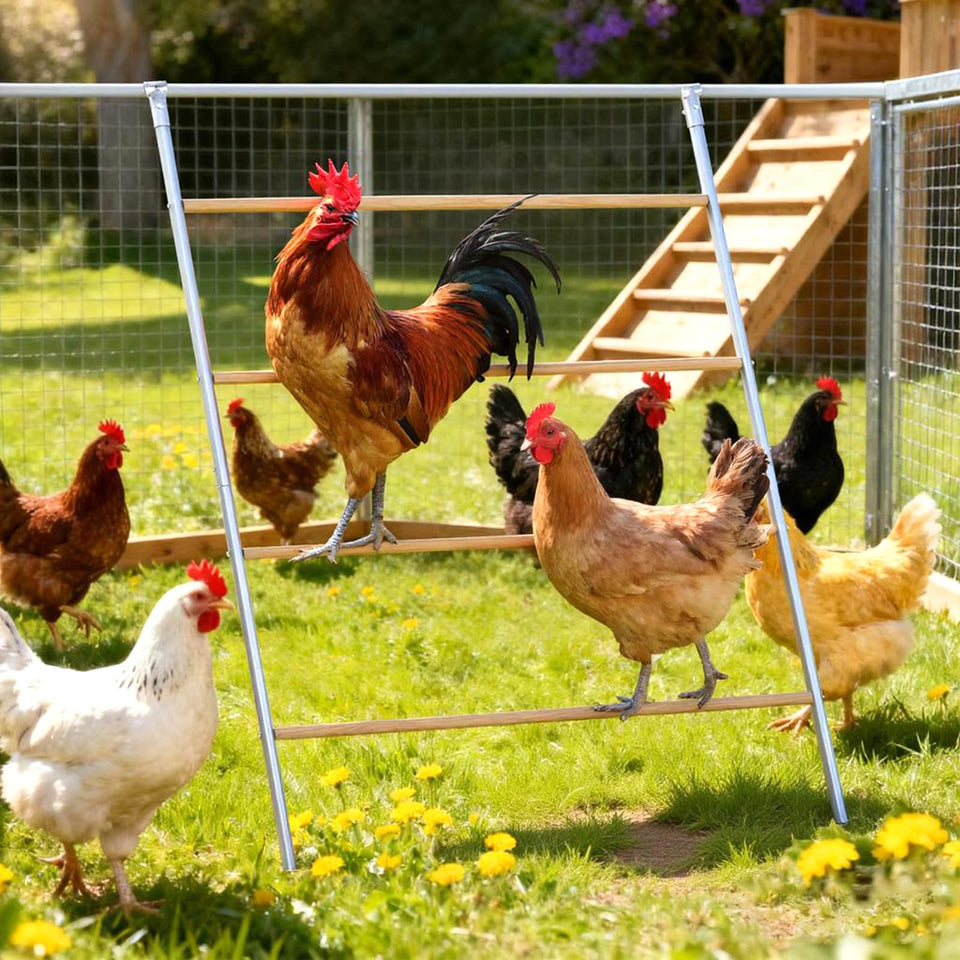 ANNDING large chicken roosting bars with a 55-inch perch for multiple hens, encouraging orderly roosting.