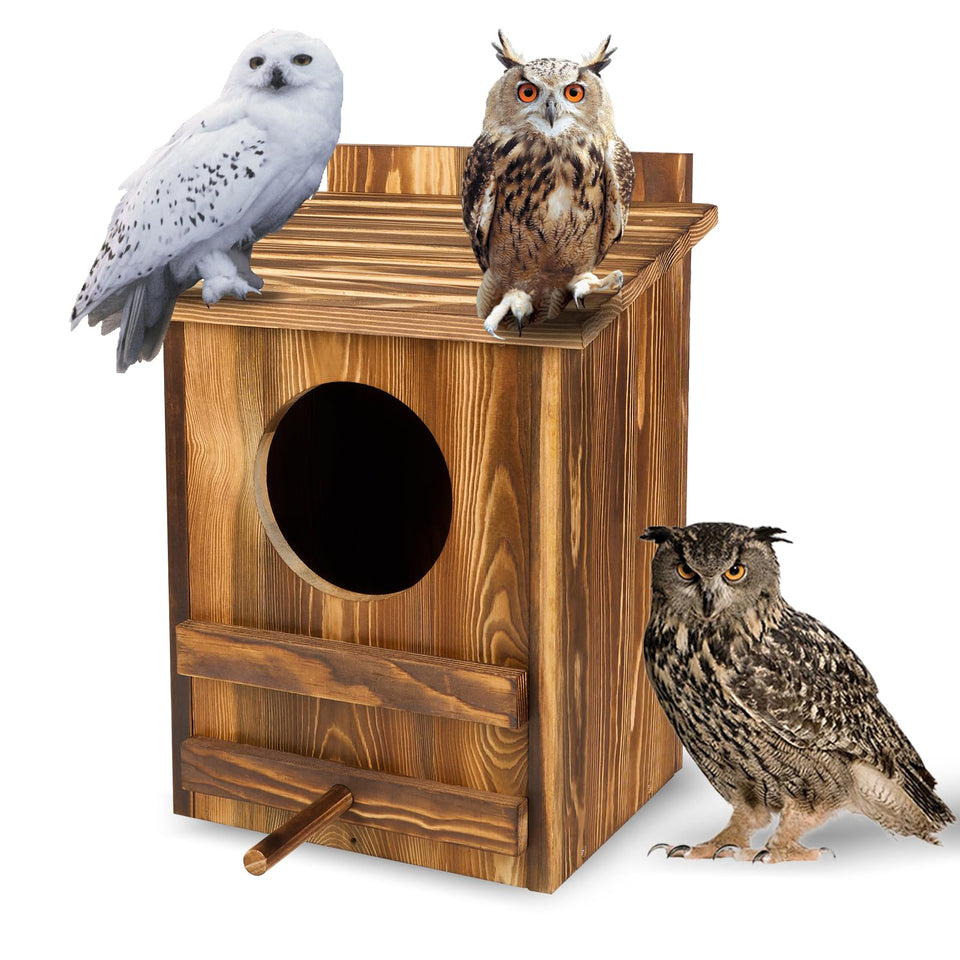 AnNowshua Ling owl house exterior entrance enables easy nest access.