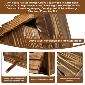 AnNowshua Ling owl house interior is spacious for nesting.