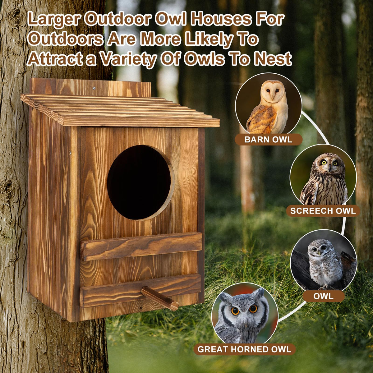 AnNowshua Ling owl house ventilated side holes promote airflow.