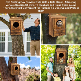 AnNowshua Ling owl nest box easy to install on trees.