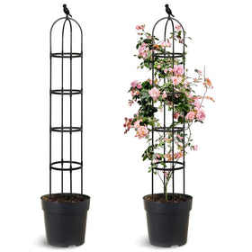 Anothera 2-pack trellis provides 6ft vertical support for climbing plants.