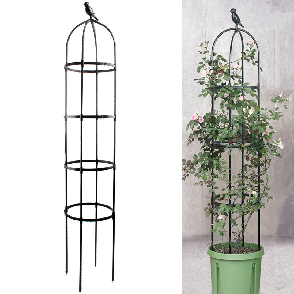 Anothera 6ft garden obelisk trellis assembly showcases quick setup and sturdy plant support.