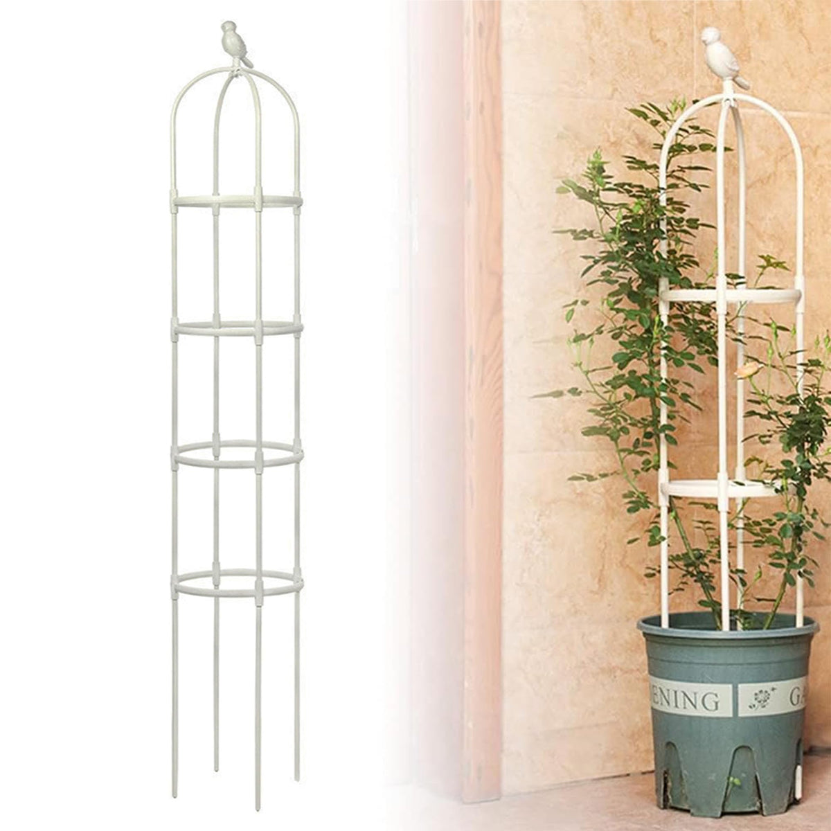 Anothera 6ft garden obelisk trellis assembly provides quick upright plant support