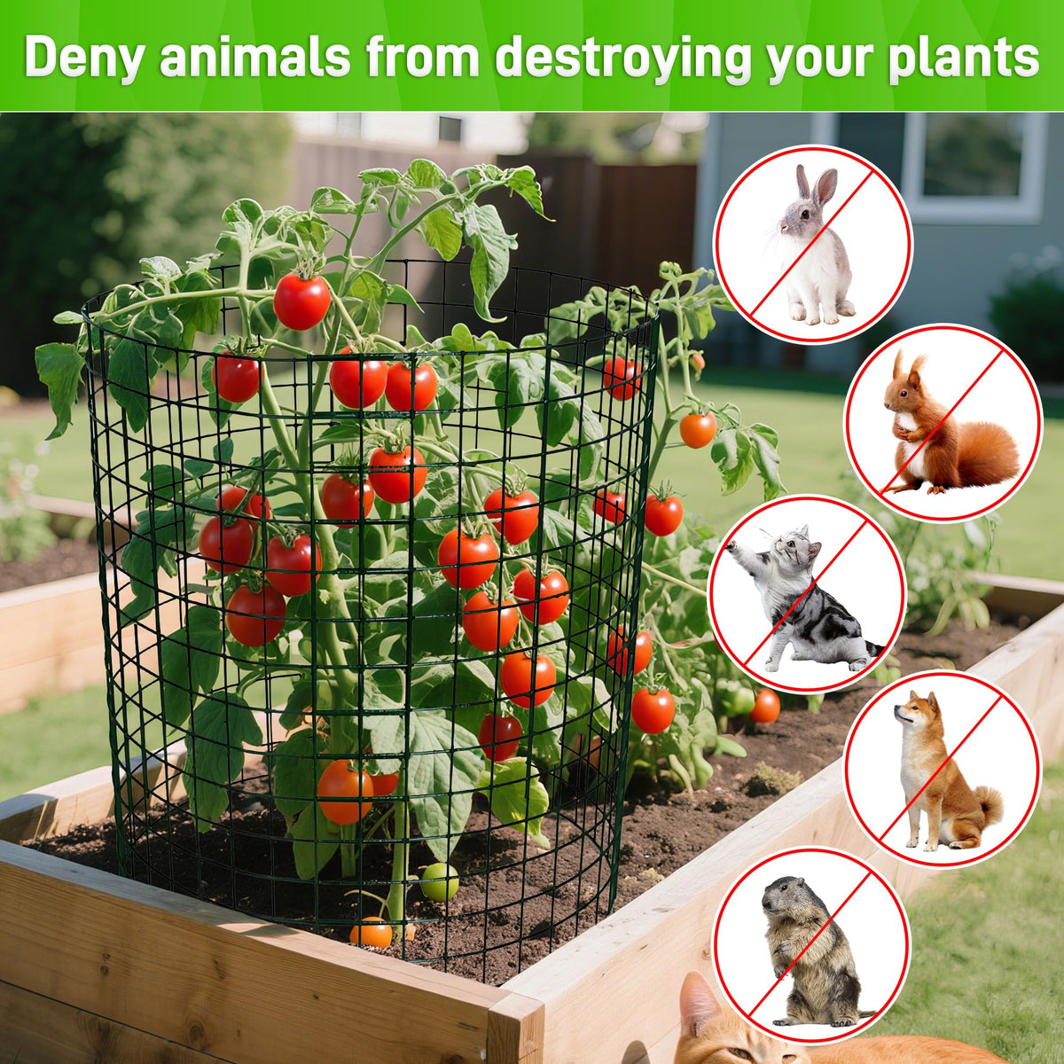 Anothera assembled garden cage demonstrates versatile, customizable protection.