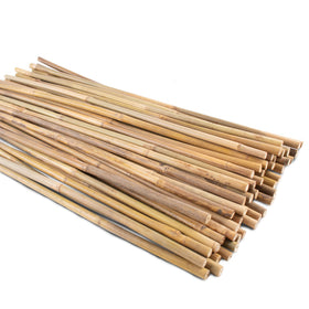 Anothera bamboo stake 16-inch pack50 stacked for easy storage and reuse.