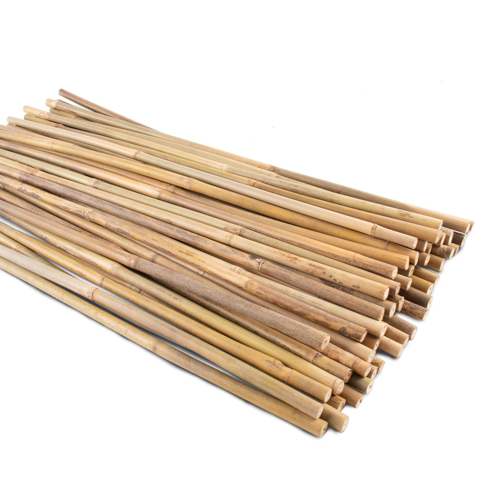 Anothera bamboo stake 16-inch pack50 stacked for easy storage and reuse.
