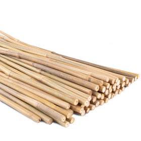 Anothera bamboo stake 18-inch plant support for indoor and outdoor use.