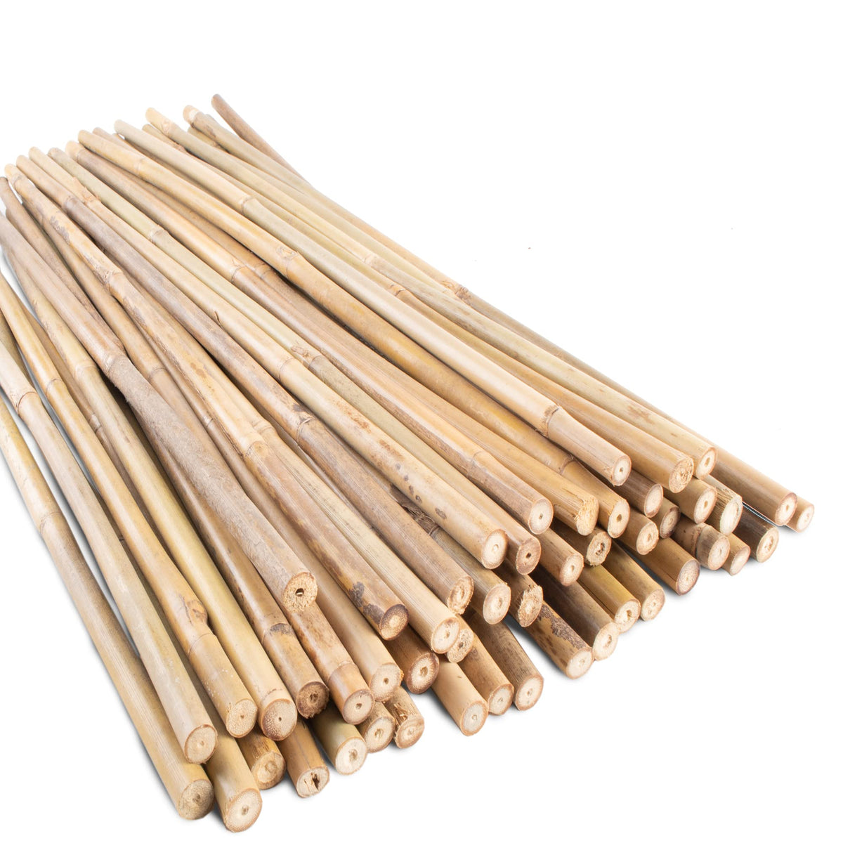 Anothera bamboo stake 2ft sturdy plant support for indoor and outdoor gardens.