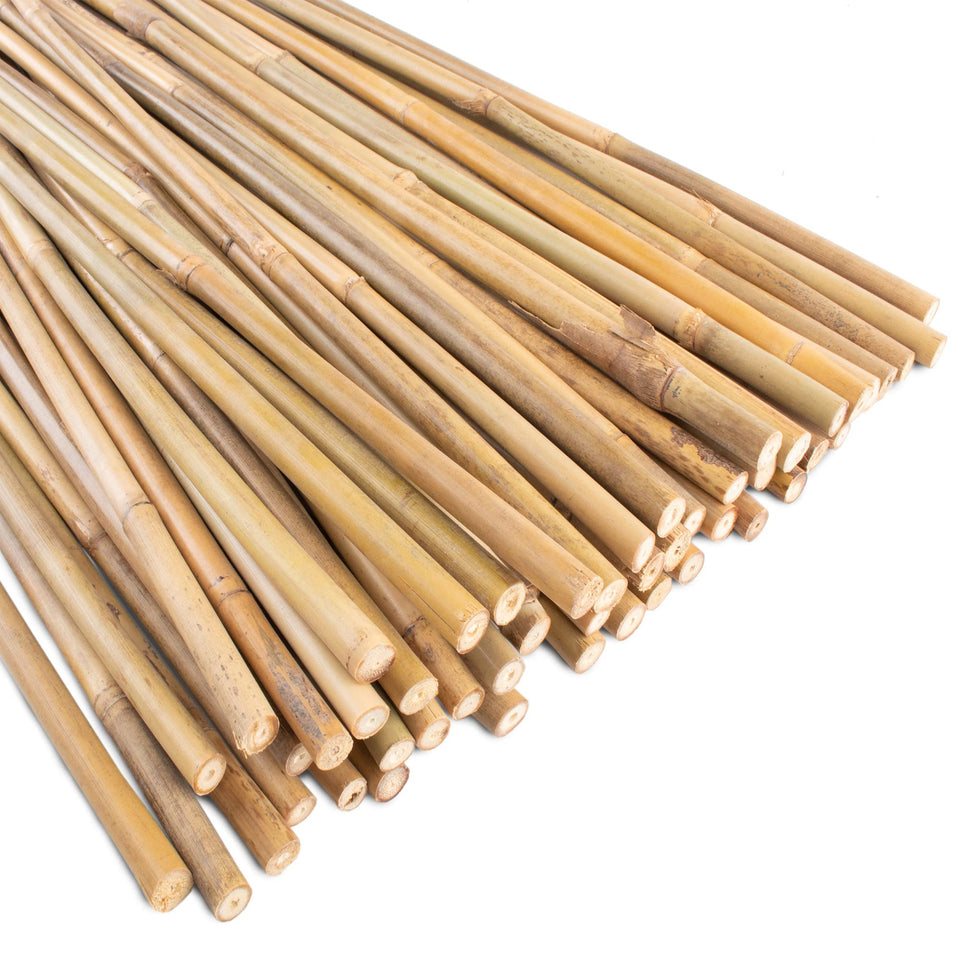 Anothera bamboo stake 4ft pack of 50 supports indoor and outdoor plants.