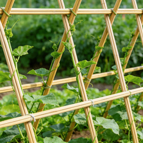 Anothera natural bamboo stake highlighting durability for year-round gardening.