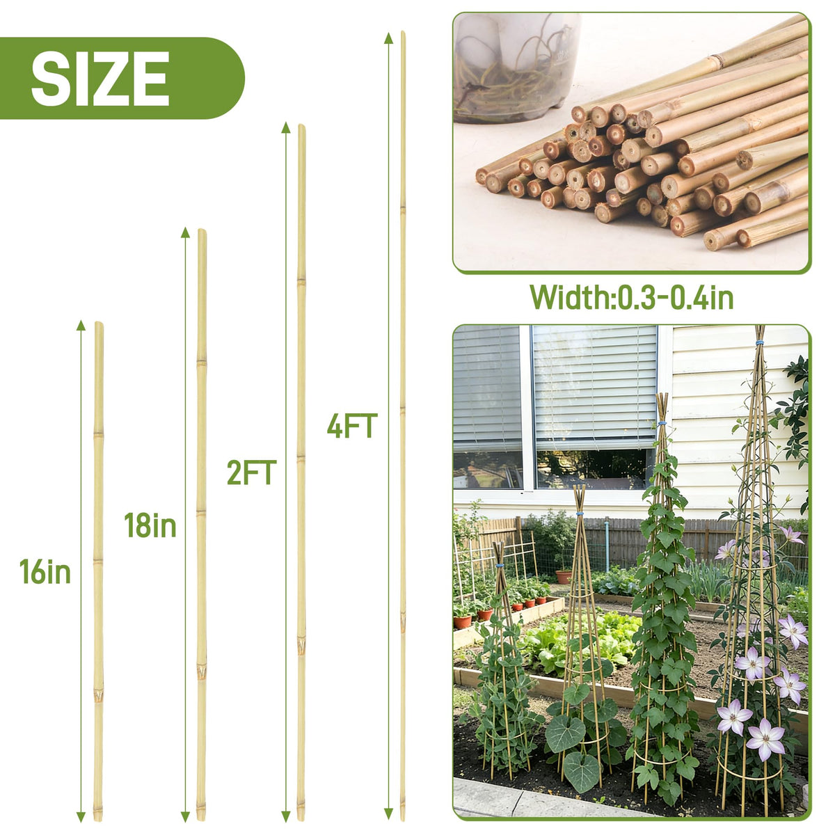 Anothera bamboo stake close-up, natural texture and durable construction for long-lasting garden support.