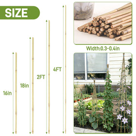 Anothera bamboo stake close-up, natural texture and durable construction for long-lasting garden support.
