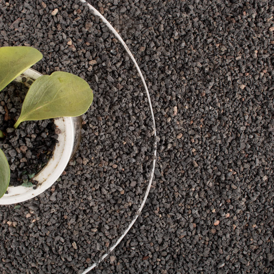Anothera black lava rock 1/8–1/4 inch texture for plant drainage and moisture balance