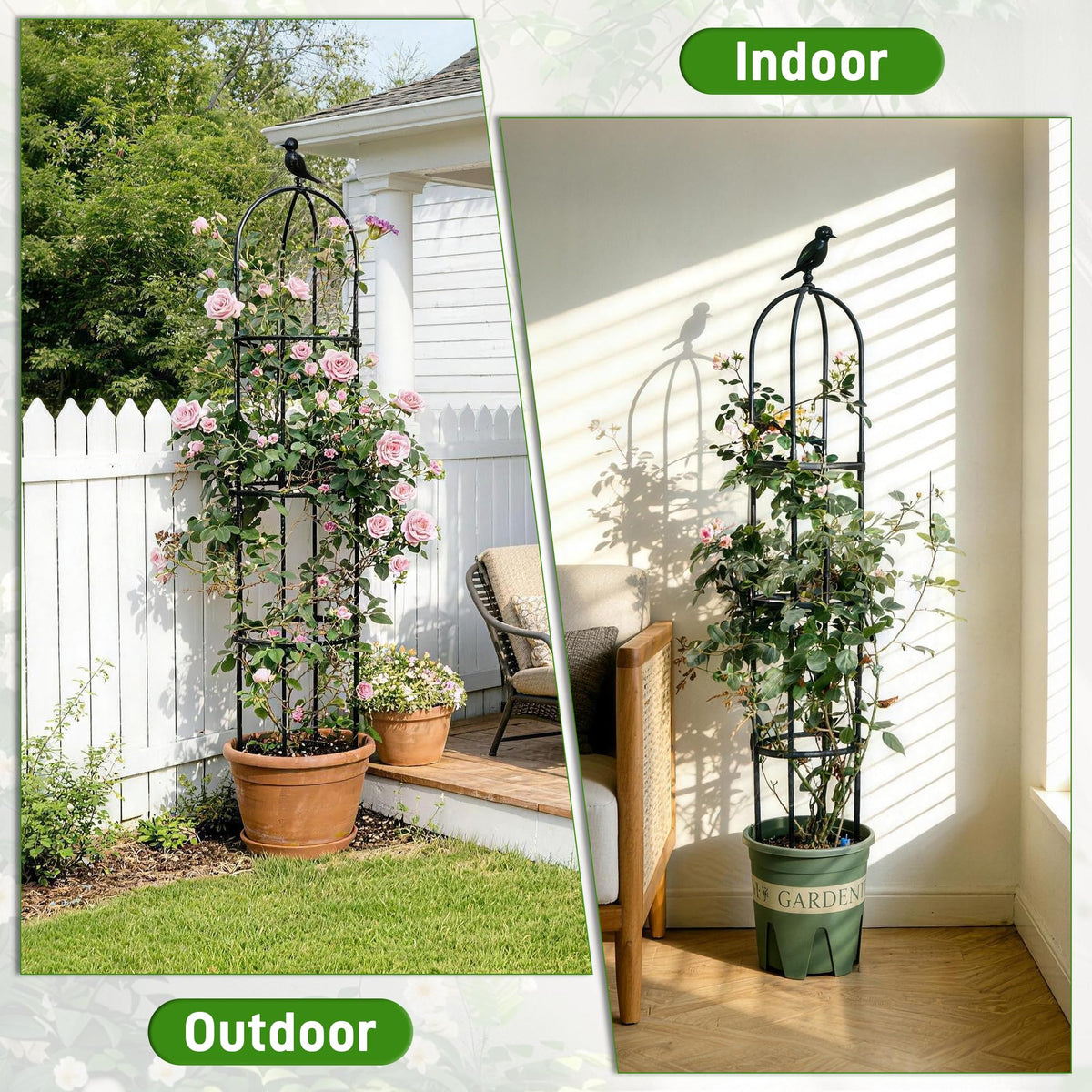Anothera climbing-plants support helps clematis and jasmine grow upward neatly.